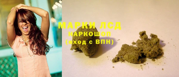 индика Алексин