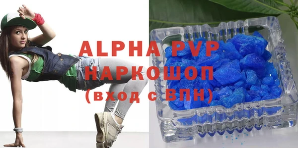 индика Алексин