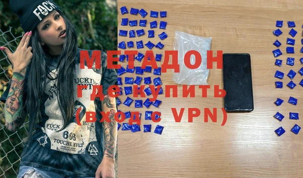 индика Алексин