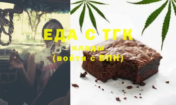 индика Алексин