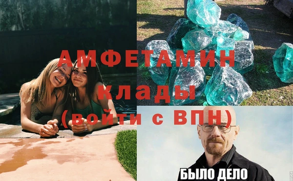 индика Алексин